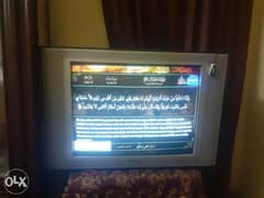 تلفزيون سانيو مصر الاصلى ٣٩بوصه 0
