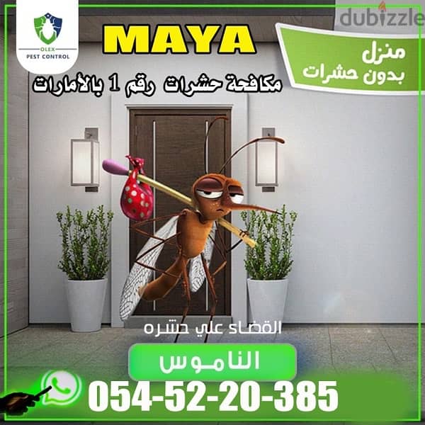 مكافحة حشرات دبي الشارقة عجمان الامارات pest control 1