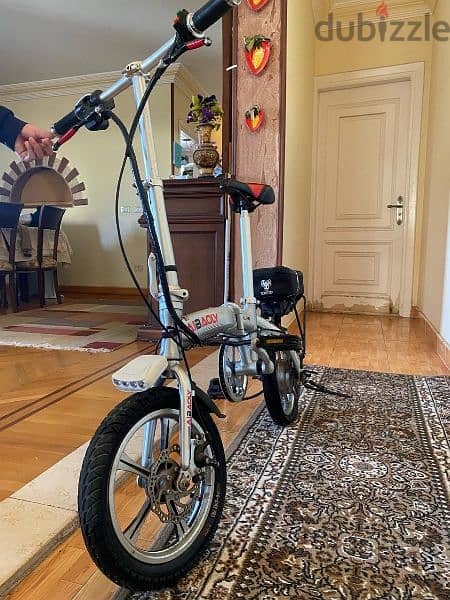 Electric bicycle 19
