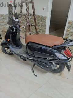 Scooter   fiddle 3 0