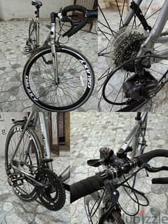 Olx bicycle 2024 near me