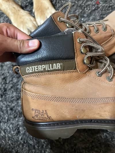 Caterpillar shoes