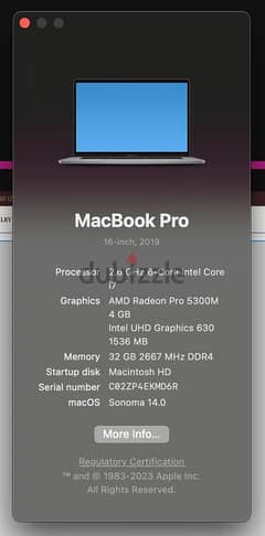 MacBook Pro 16-inch 2019 32 RAM