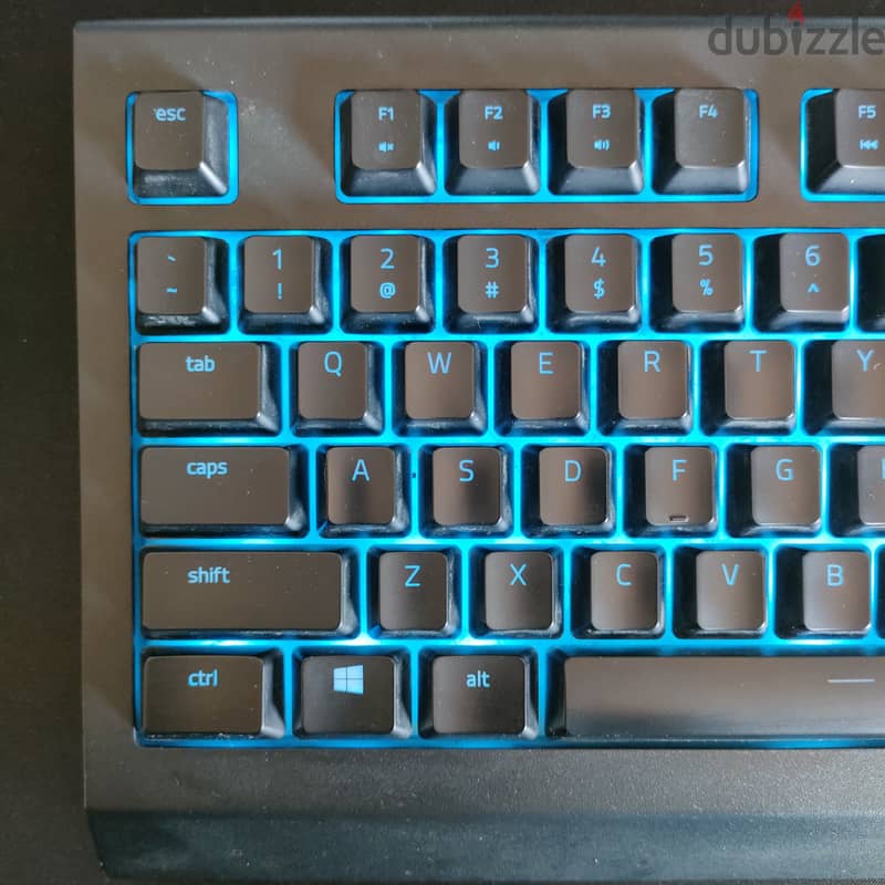 Razer Cynose Chroma Gaming Keyboard 4