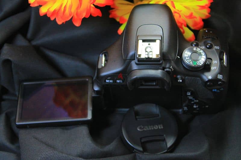 Canon 600D Shutter 0 New جديدة 4