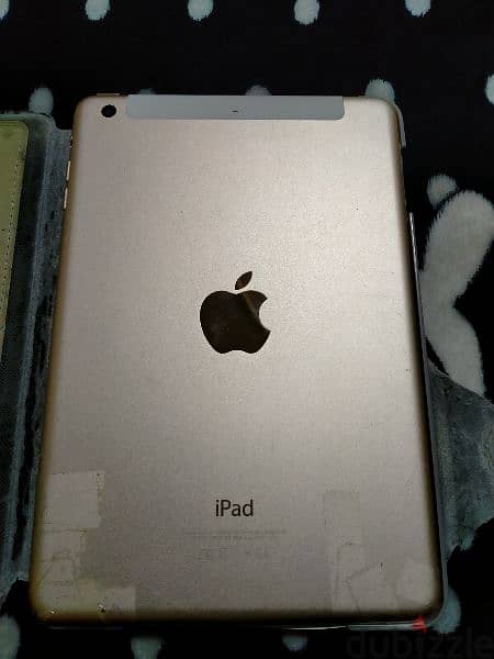 ipad mini 3 1