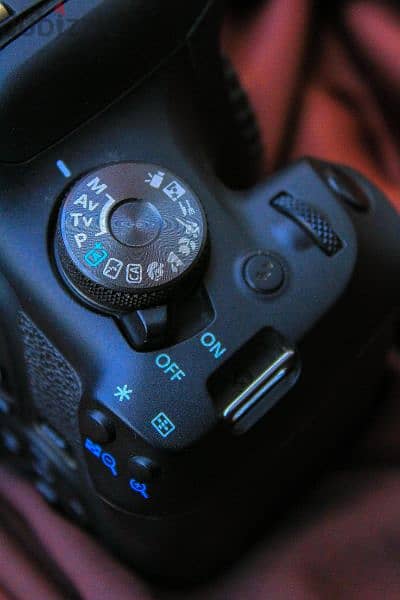 Canon 2000D Shutter 0 Zero New 11