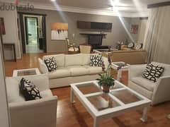 Furnished apartment for rent in degla el maadi
