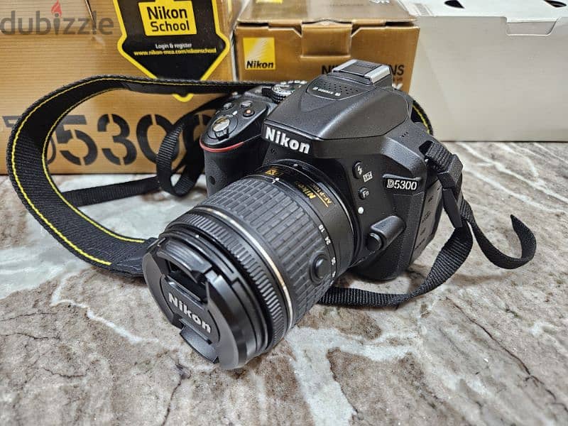 Nikon D5300 - Shutter 3884 1