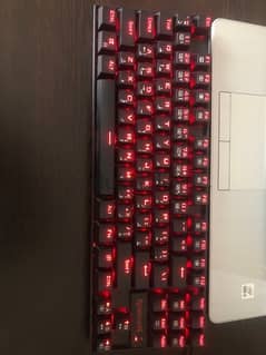 RedDragon keyboard