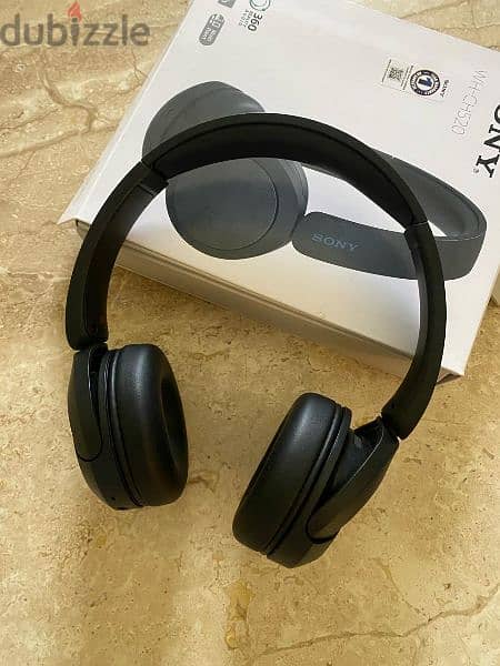 Sony headphones WH-CH520 2