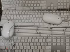 Apple keyboard and Mouse 0