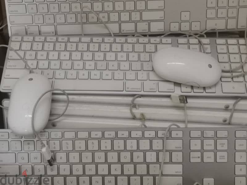 Apple keyboard and Mouse 1