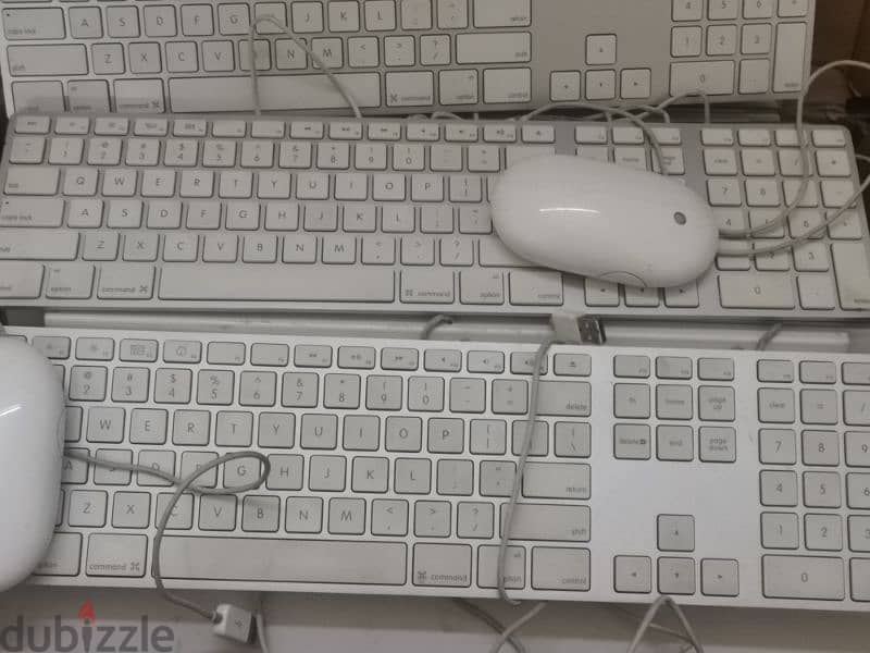 Apple keyboard and Mouse 4