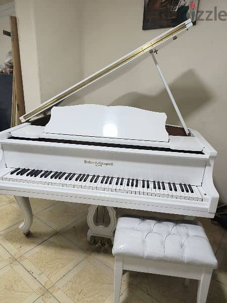 بيانو بيبى جراند جديد 5