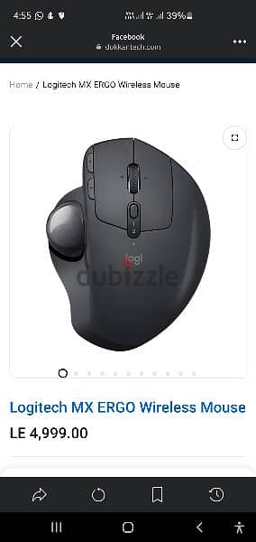 mouse