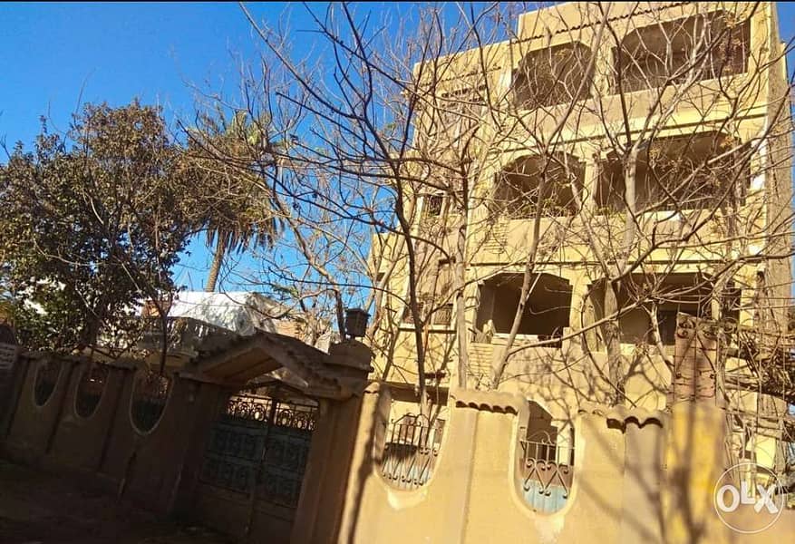 عمارة للبيع في اشمون سنتريس ساقية ابو شعرة المنوفية 4