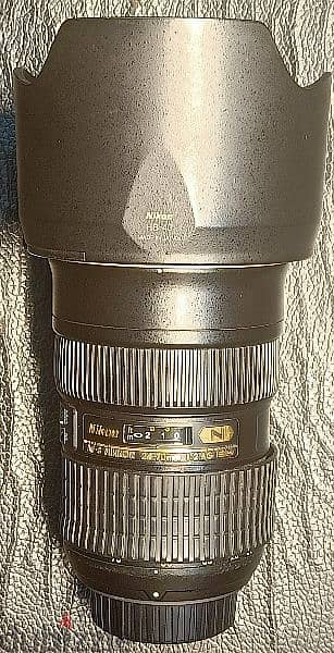 Nikon 2470 f2.8 v1 نيكون فيرجن واحد 4