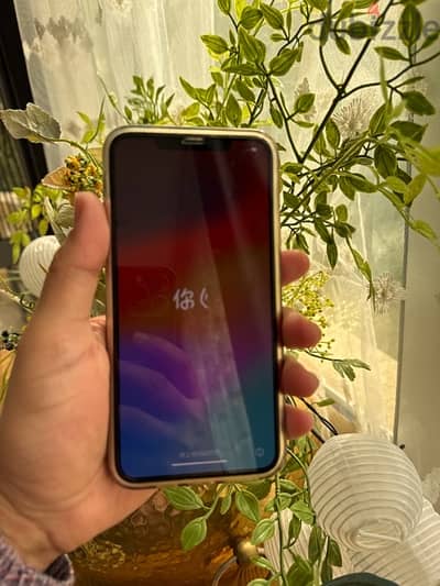 IPhone 11 pro max 256 GB