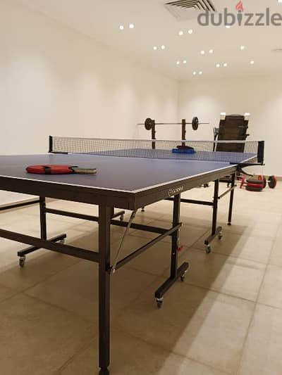 ping pong table