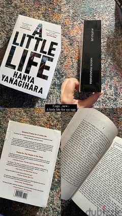 book : a little life 0