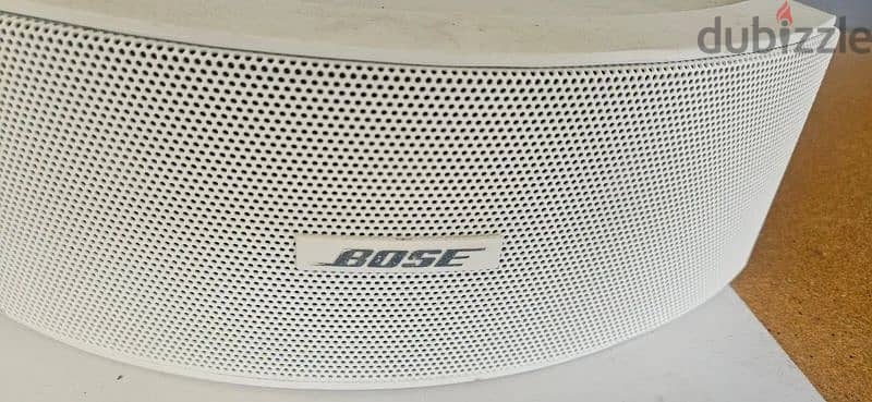 The Bose 151 SE Environmental Speakers 1