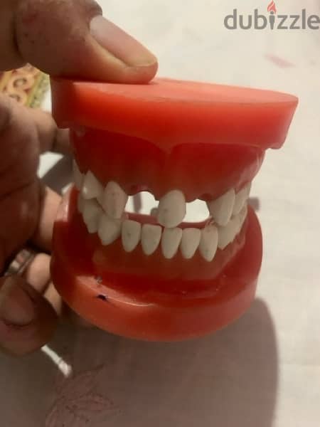‏عبارة عن طقم أسنان لكلية تبقى أسنان 0