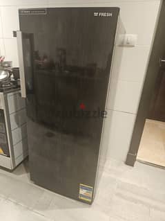 Fresh Upright Freezer up for sale (Model FNU-L250) 0
