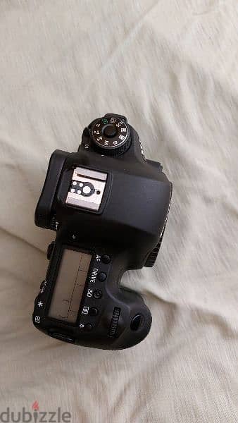 Canon 6d+50mm stm 3