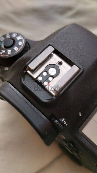 Canon 6d+50mm stm 4