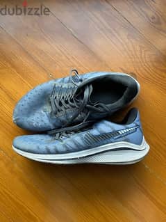 Nike Running Shoes 0