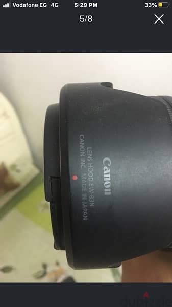 Canon R 4