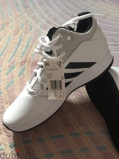 كوتشي adidas original  وارد امريكا