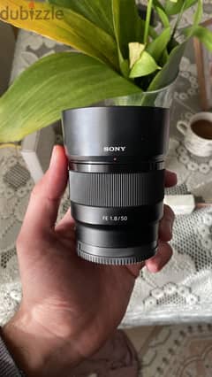 Sony 50mm 1.8 0