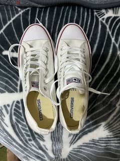 Chuck Taylor All Star Lifestyle Shoes (converse) 0