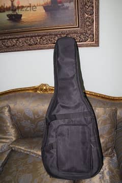 Semi hard guitar case 0
