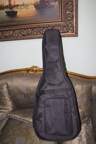 Semi hard guitar case