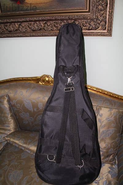 Semi hard guitar case 1