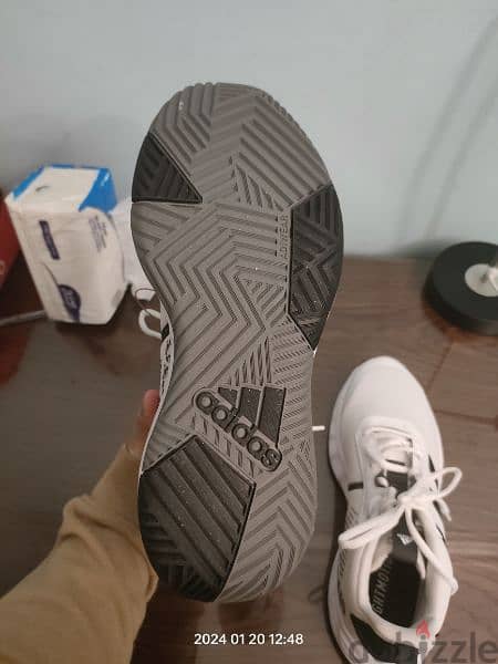 Adidas shoes 1