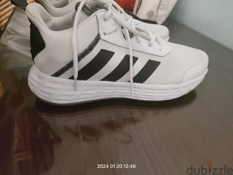 Adidas shoes 6