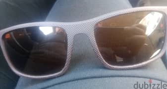 Morel Sunglasses