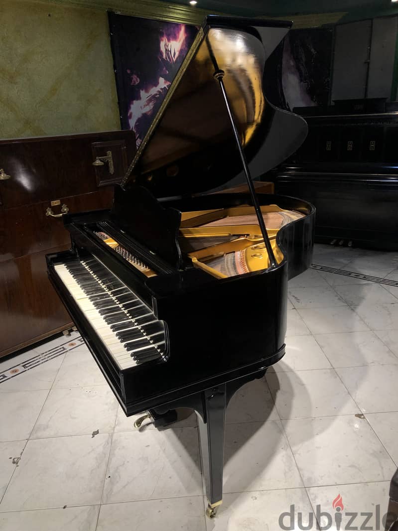 American baby grand for professional 1
