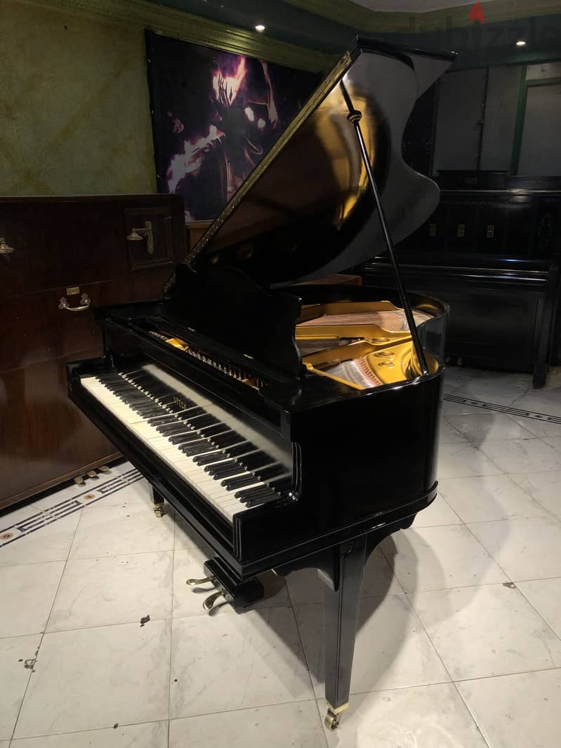 American baby grand for professional 2