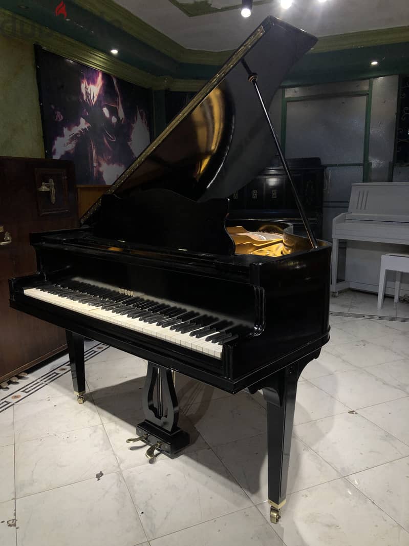 American baby grand for professional 3