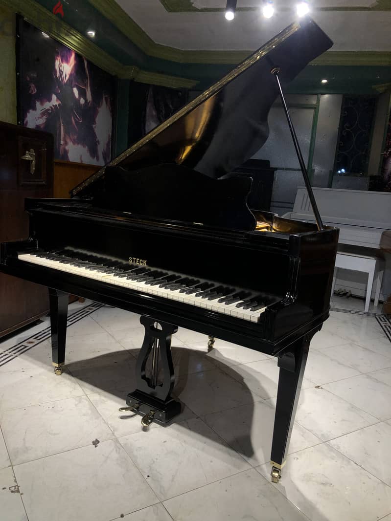 American baby grand for professional 4