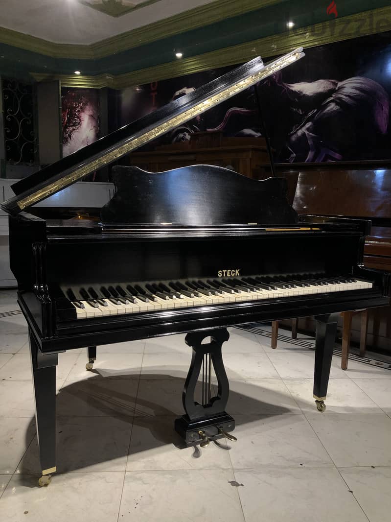 American baby grand for professional 5