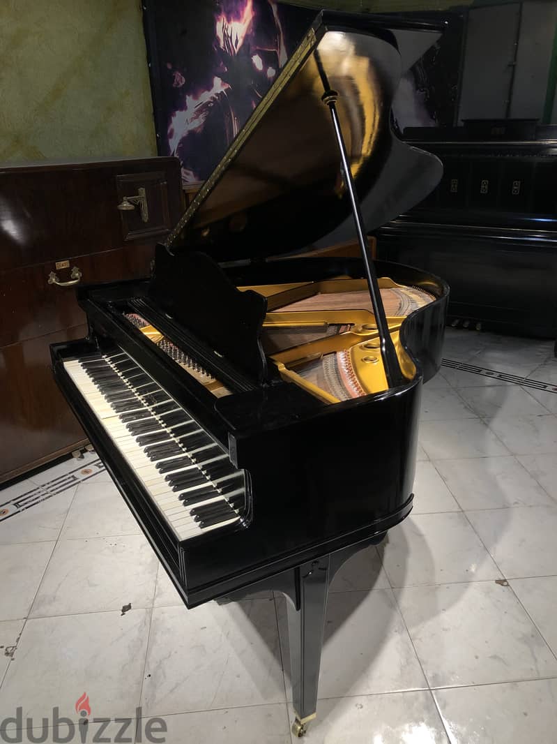 American baby grand for professional 6