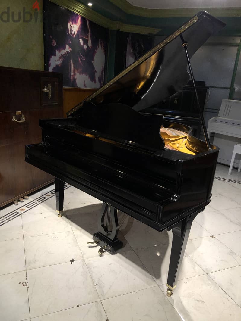 American baby grand for professional 7