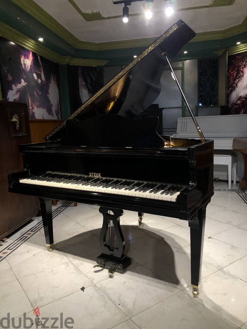 American baby grand for professional 8