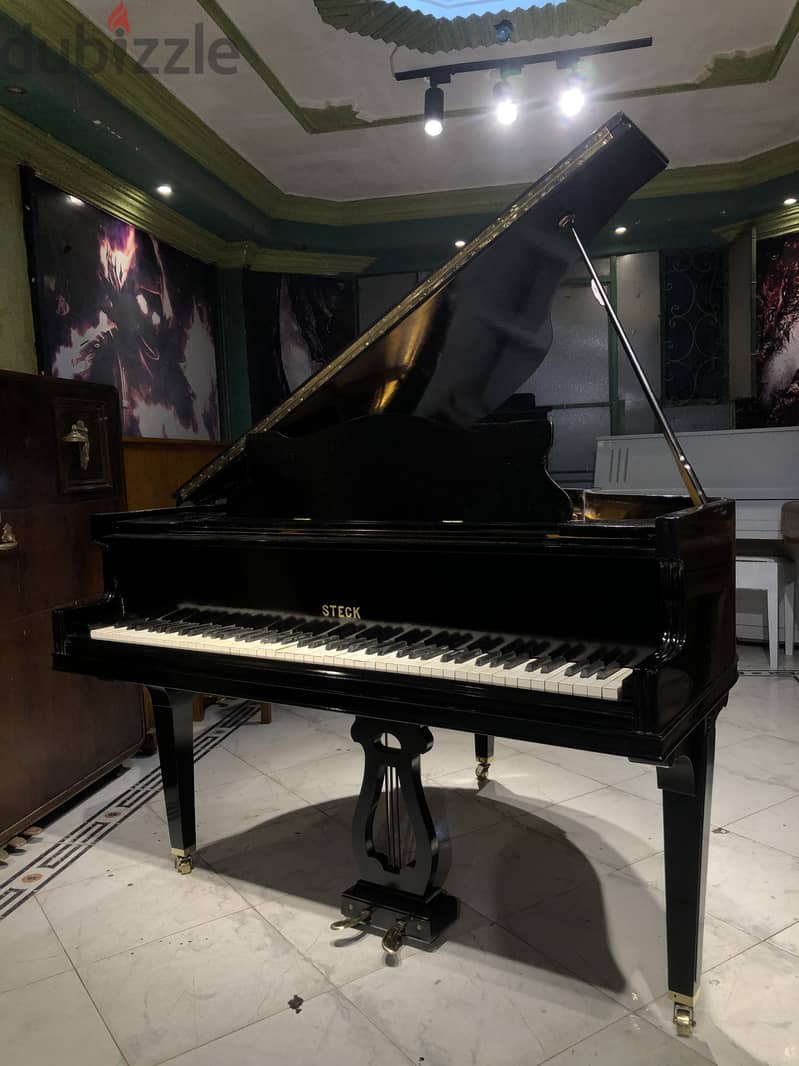 American baby grand for professional 9
